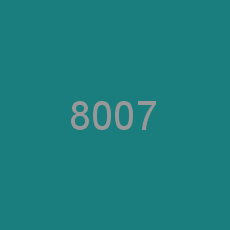 8007