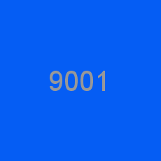 9001
