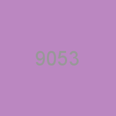 9053