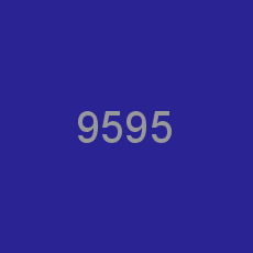 9595