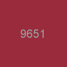 9651