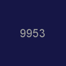 9953