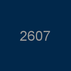 2607