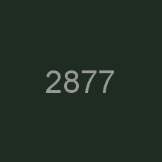 2877