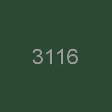 3116