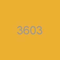 3603
