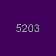 5203