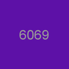6069