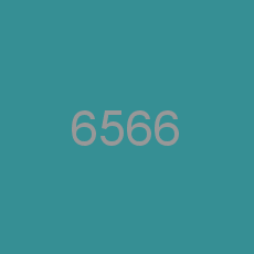 6566