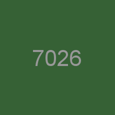 7026