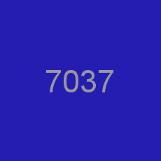 7037