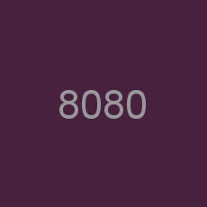 8080