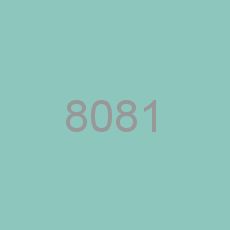 8081