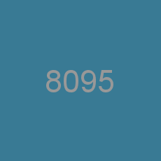 8095
