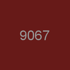 9067